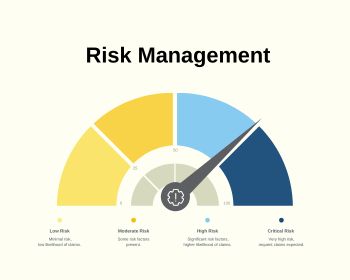 CRISC Certification Training Course